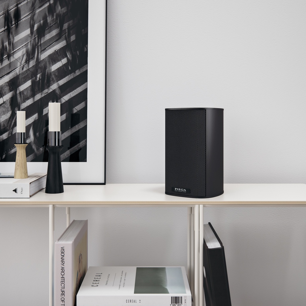 Piega Ace 30 Wireless TX (Primaire luidspreker)