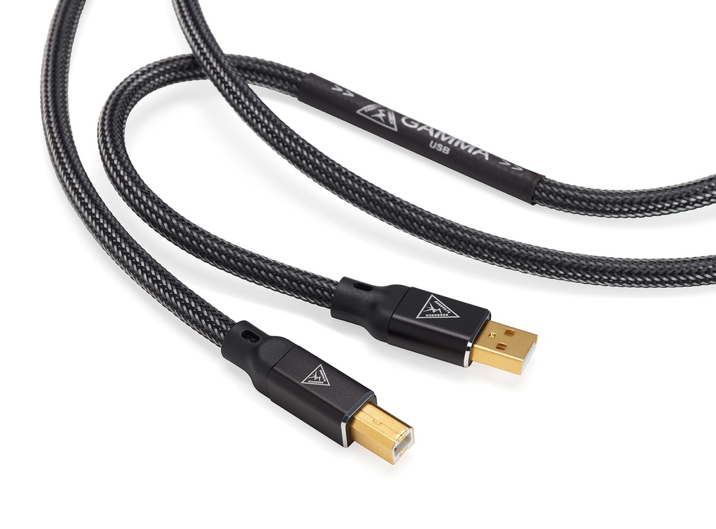 Shunyata Gamma Digital USB 2