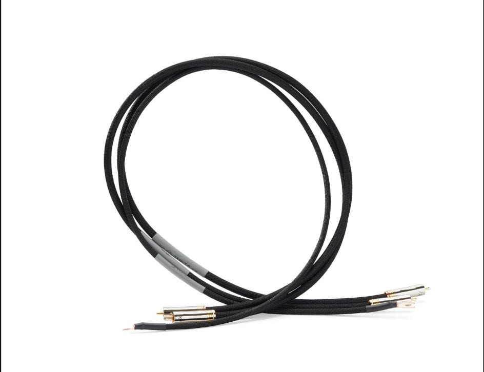 Shunyata Theta Interconnect RCA Phono