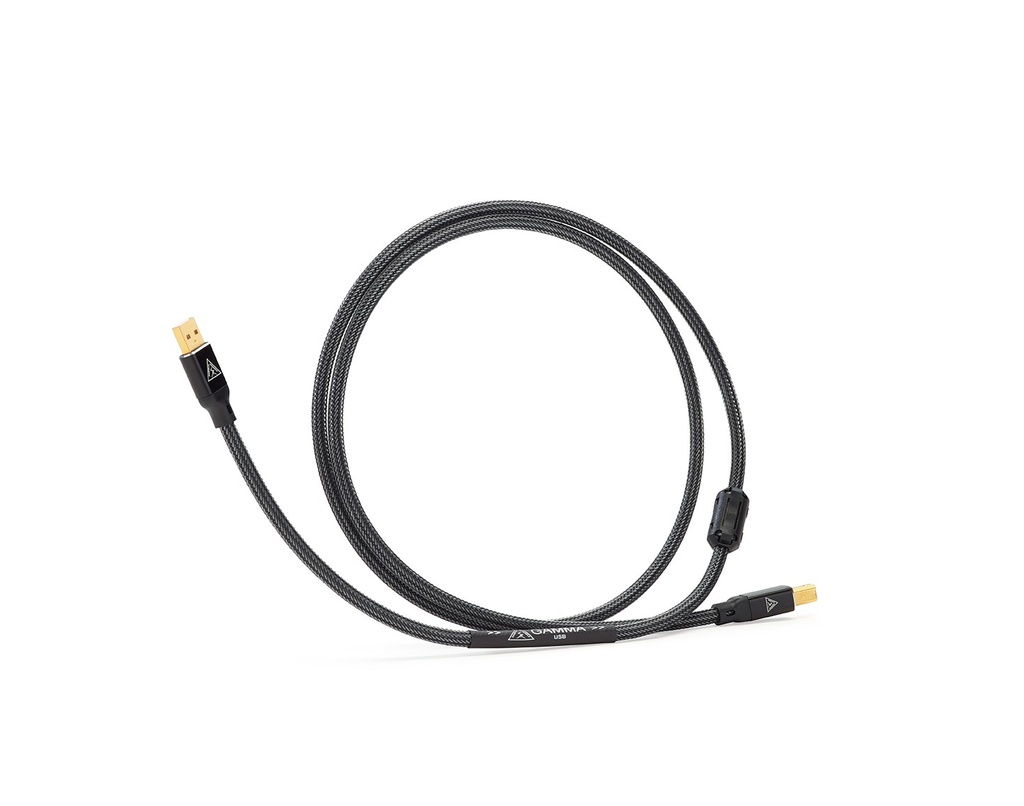 Shunyata Gamma Digital USB