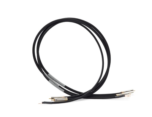 Shunyata Theta Interconnect RCA Phono