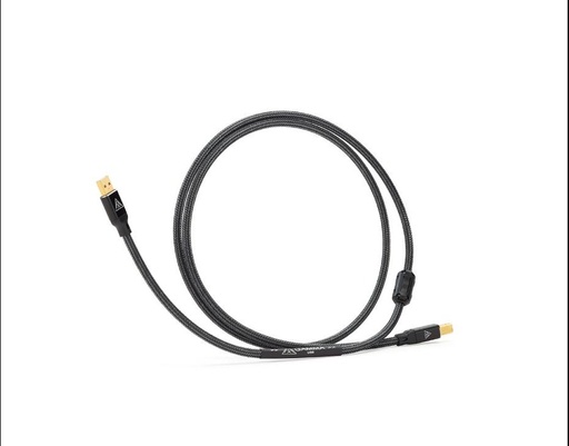 Shunyata Gamma Digital USB