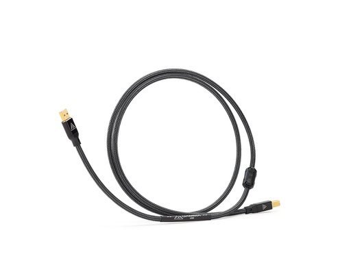 Shunyata Gamma Digital USB