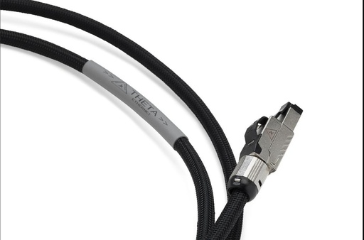 Shunyata Theta Digital Ethernet