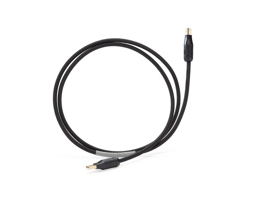 Shunyata Theta Digital USB